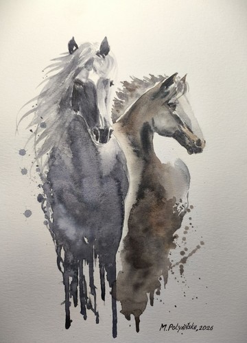 Cavallo selvatico mustang - cavallo,
