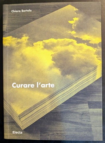 Chiara bertola curare arte - bertola, l'arte