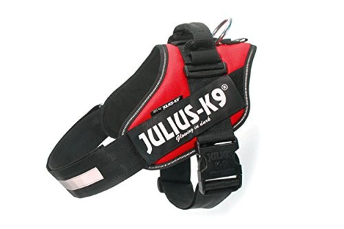 Julius idc - 1),