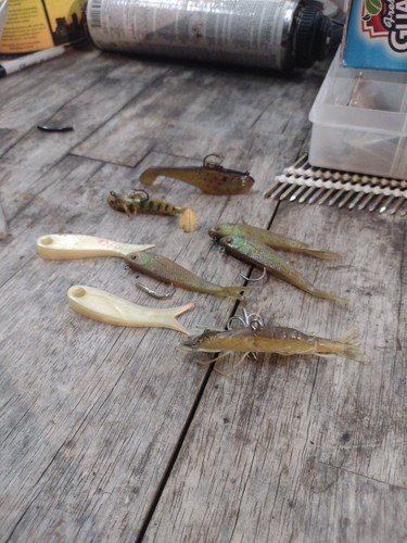 Lotto esche pesca acqua - esche, da