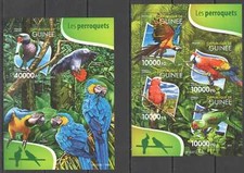 ST234 2015 GUINEA PAPPAGALLI