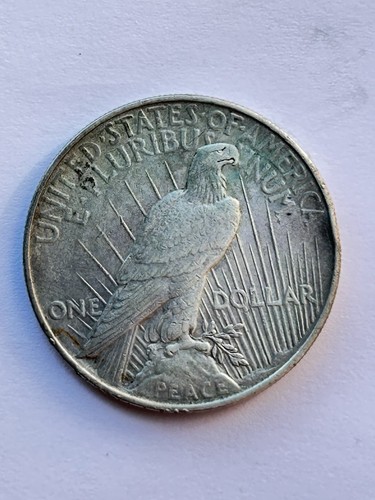 Moneta dollaro peace stati - peace,