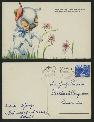 Lamb flowers artist drawn - &,