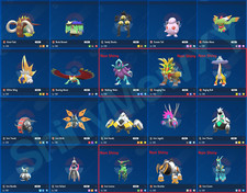 Qualsiasi Lucido** 6IV Livello