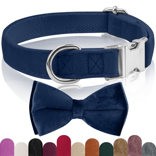 Ktwsuef collare cane papillon - ktwsuef,