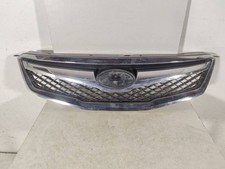 Griglia superiore radiatore