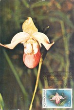 E0046 maxi card romania fiori - card,