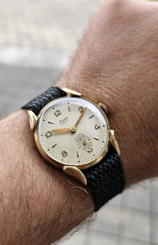 Stowa parot cal osko del - parot,