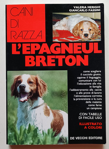 Epagneul breton merighi - l'epagneul,
