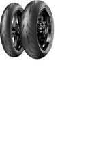 Coppia Gomme Michelin Pilot