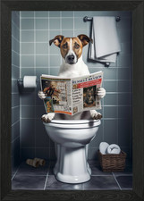 Poster Jack Russell in bagno