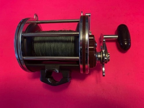 Penn special senator - special, 6/0