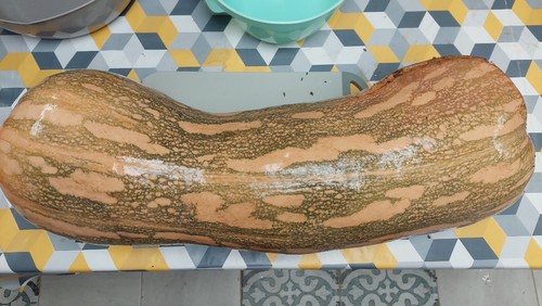 Bambina gigante zucca - bambina,