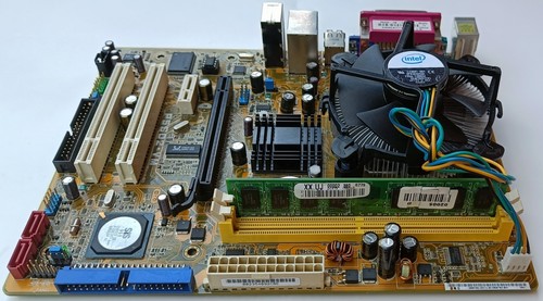 Scheda madre asus - scheda,