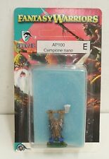 Fantasy Warriors: Campione