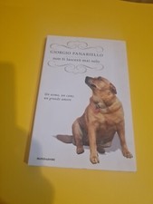GIORGIO PANARIELLO: NON TI