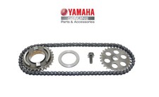 Ingranaggio catena pompa acqua