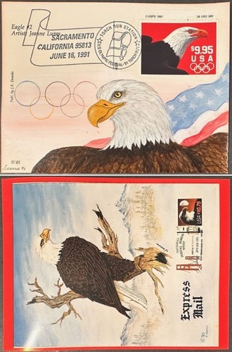 2541 eagle cachet dipinto - cachet,