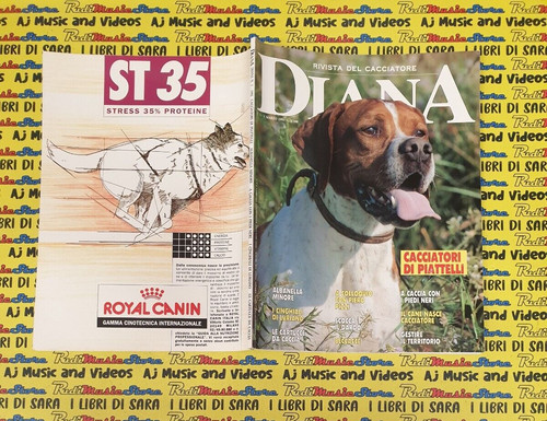Rivista magazine del - rivista,