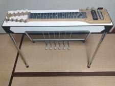 Fuzzy 10 Corde Pedale