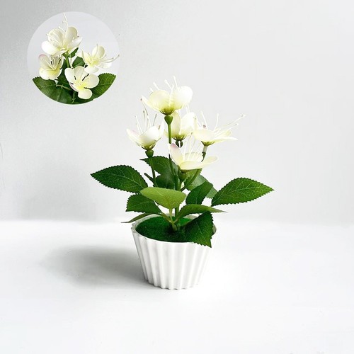 Miniatura pianta vaso - in,