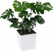 Vaso da fiori nero bianco 40 x