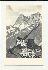 antica cartolina formato