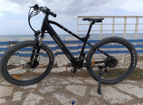 Bike argento performance - e-bike, performance+