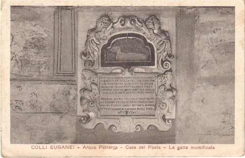 Padova arqua petrarca - arqua, la