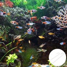  2 pezzi Tubo diffusore Co2