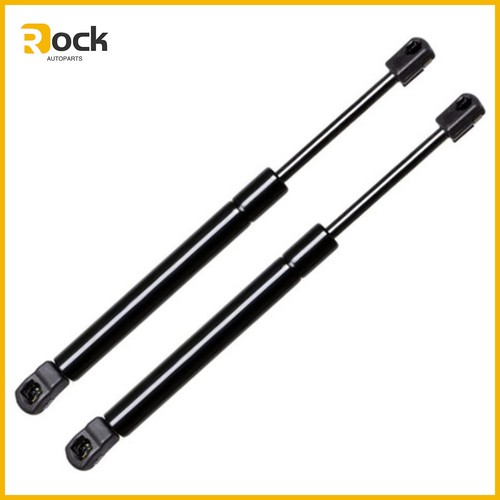 New tailgate lift struts - 2x,
