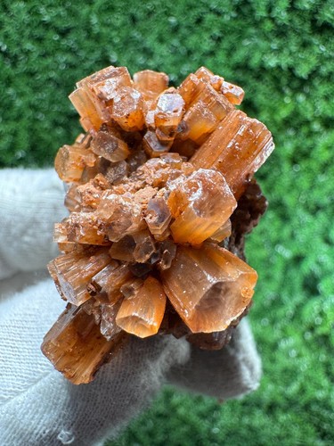 Fiore aragonite dal - fiore,