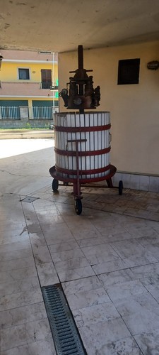 Torchio per uva - per,
