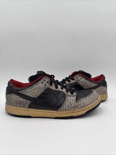 Nike dunk low - low, pro