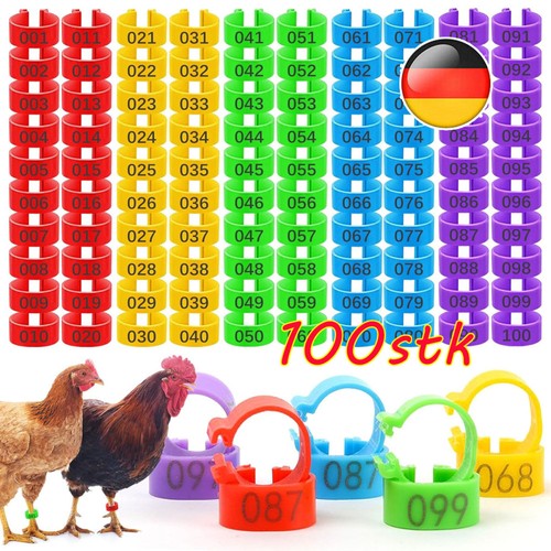 100 pezzi anelli per - , polli,