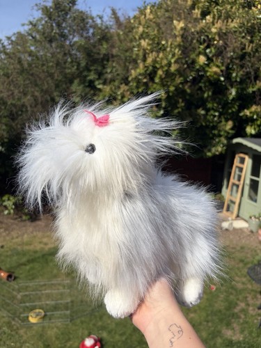 2004 foofie maltese morbido - maltese,