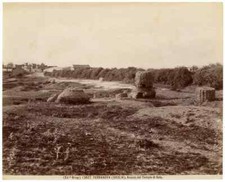 Terranova Gela Sicily Remains