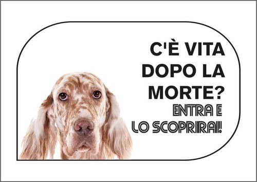 Cartello segnaletico setter - -,