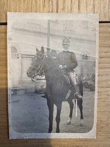 Foto cavallo ww1 torino - cavallo,