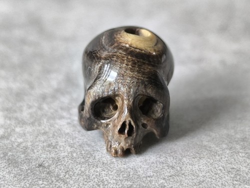 Memento mori rainbow coral - memento,