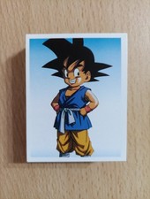 DRAGON BALL 1996 (Edizioni