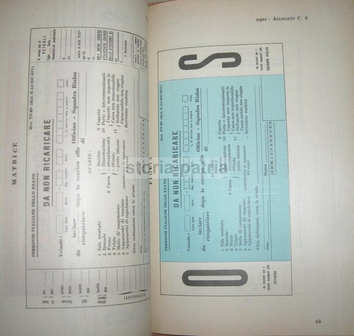 FERROVIE_TRENI_MANUALE