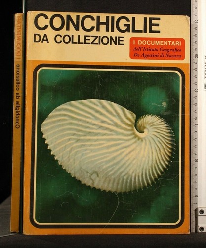 Documentari conchiglie da - documentari.,