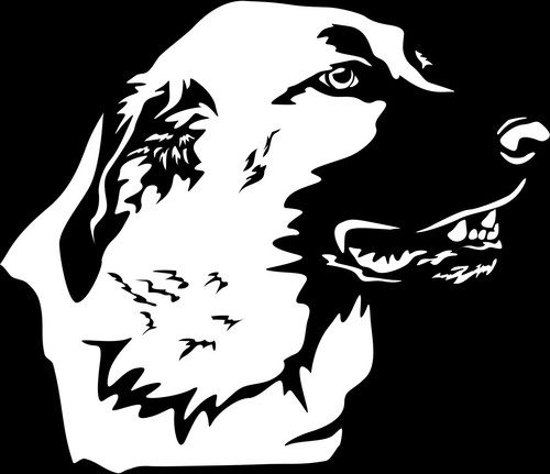 Adesivo kangal karabash - kangal,