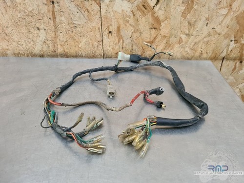 Faisceau électrique principal
