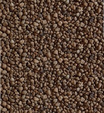 ARGILLA ESPANSA DA 10 LT PER
