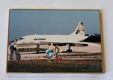 PINS PIN BD NATACHA  ASTERIX