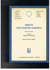 2006 DIRITTO DELL'UNIONE