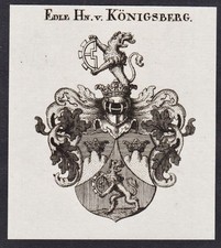 Nobile Di Königsberg Stemma Araldico Stemma Nobiltà Incisione In Rame 1820