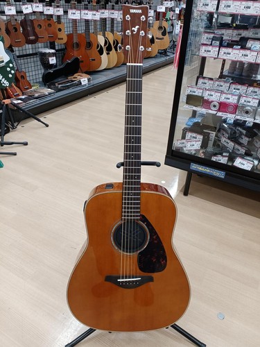 Chitarra acustica elettrica